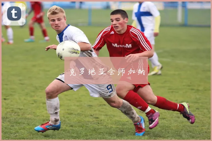 克罗地亚会师加纳