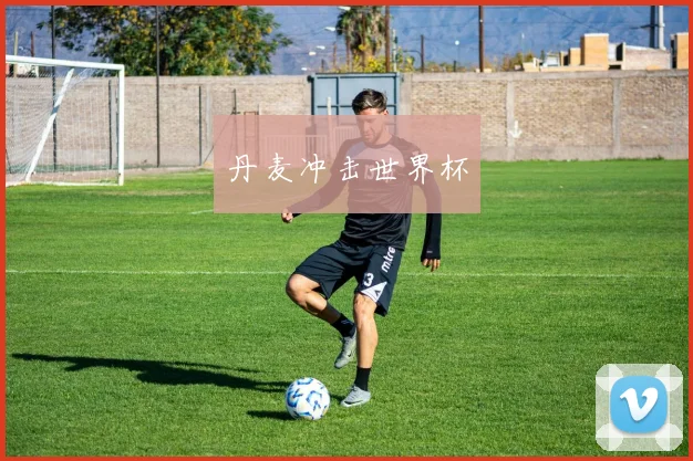 丹麦冲击世界杯