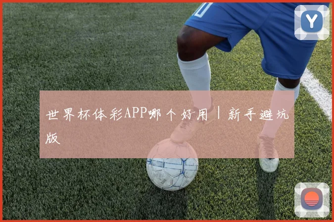 世界杯体彩APP哪个好用｜新手避坑版